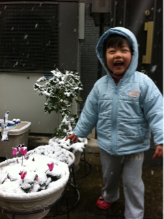 image-20101231103155.png
