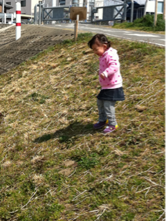 image-20110329141229.png