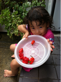 image-20110803170409.png