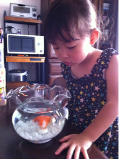 image-20110808082919.png