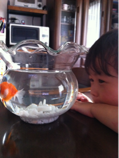 image-20110808082955.png