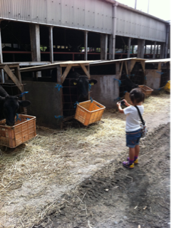 image-20110919225624.png