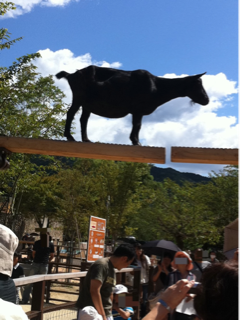 image-20110928074535.png
