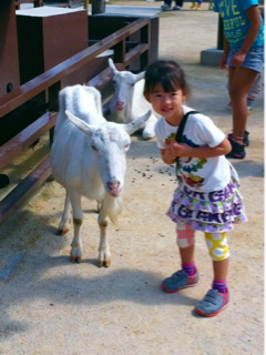 image-20110928074820.png
