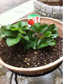 image-20111103075459.png