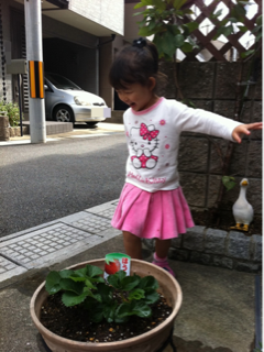 image-20111103080045.png