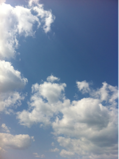 image-20111104180413.png