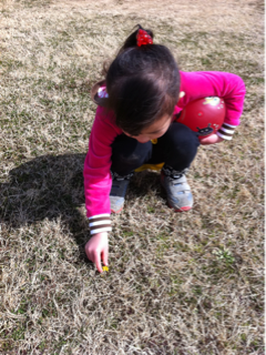image-20120307172433.png