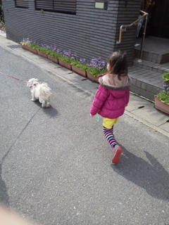 image-20120309161001.png