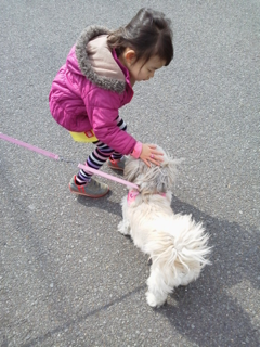 image-20120309161500.png