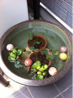 image-20120524113030.png